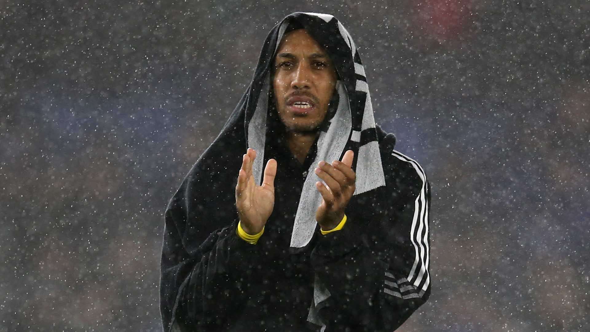 手无从下手 手无从下手